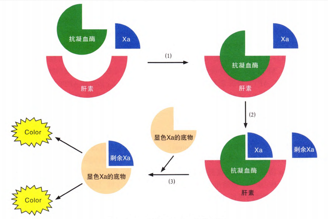 國產(chǎn)抗Xa質(zhì)量如何？多中心臨床研究來告訴你！
